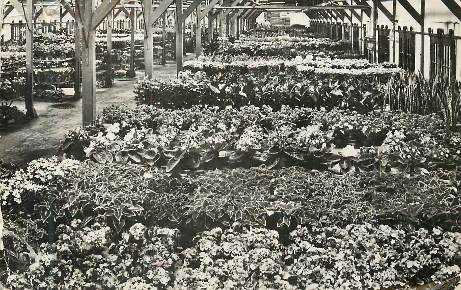 CPA Marche aux fleurs Pays-Bas