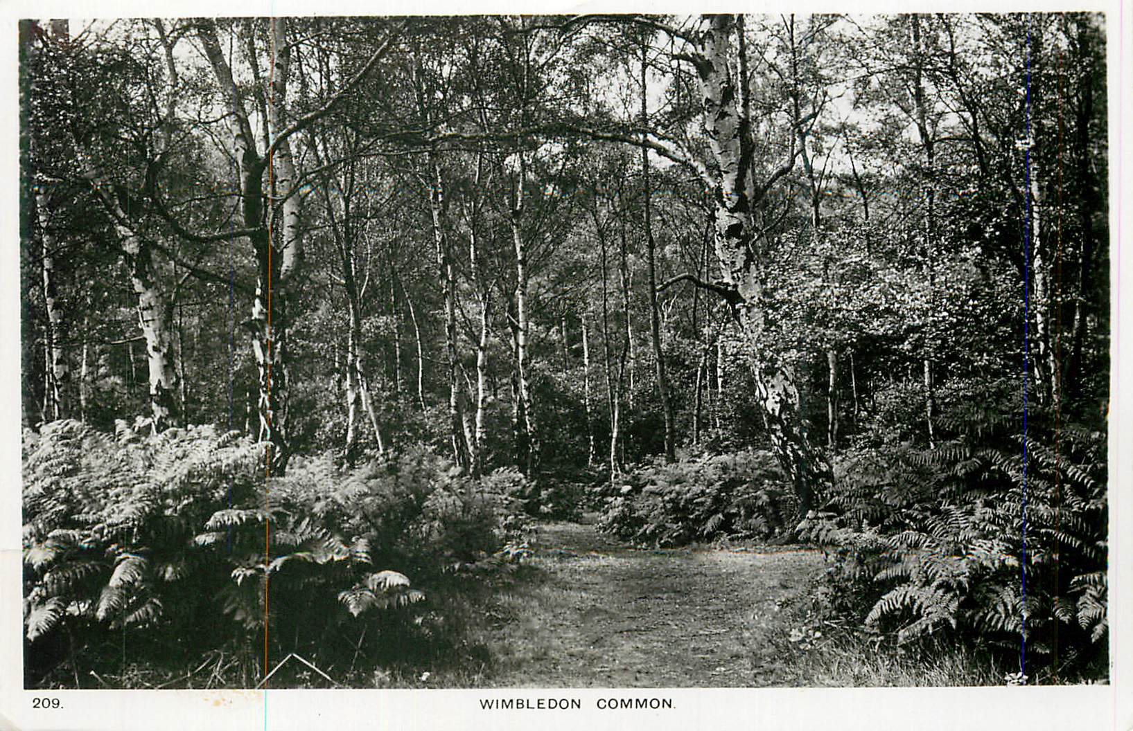 CPM Wimbledon Common