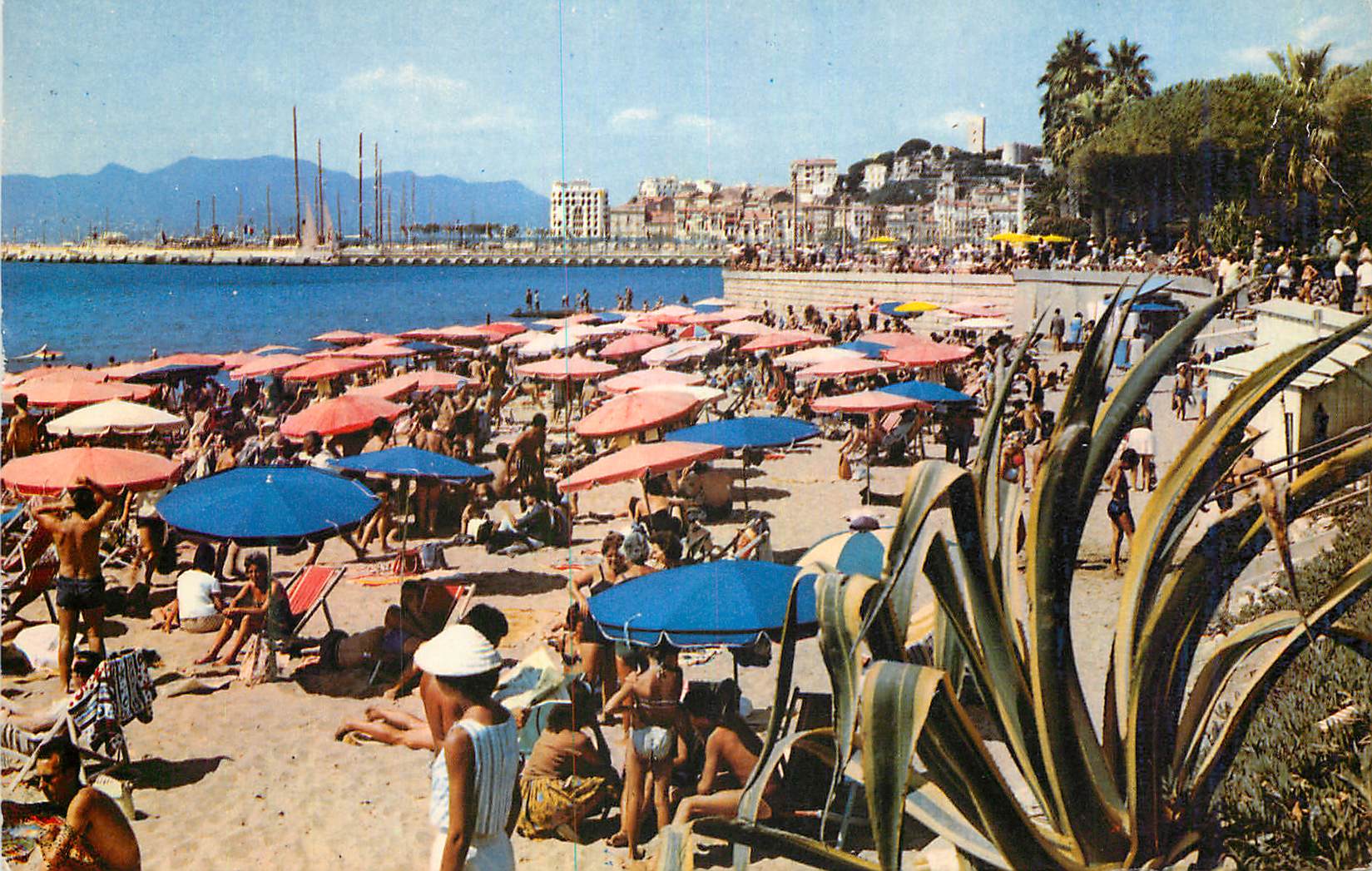CPM Cannes La Plage le port et le Suquet