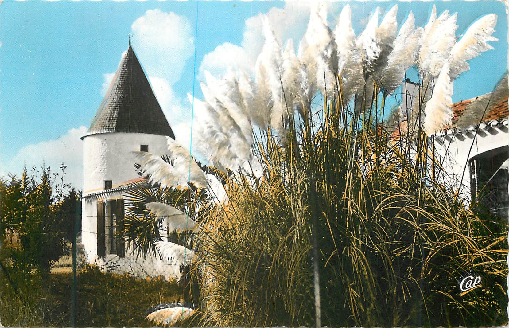 CPM Saint-Pierre-d'Oleron (Ile d'Oleron) Le Moulin du Coivre