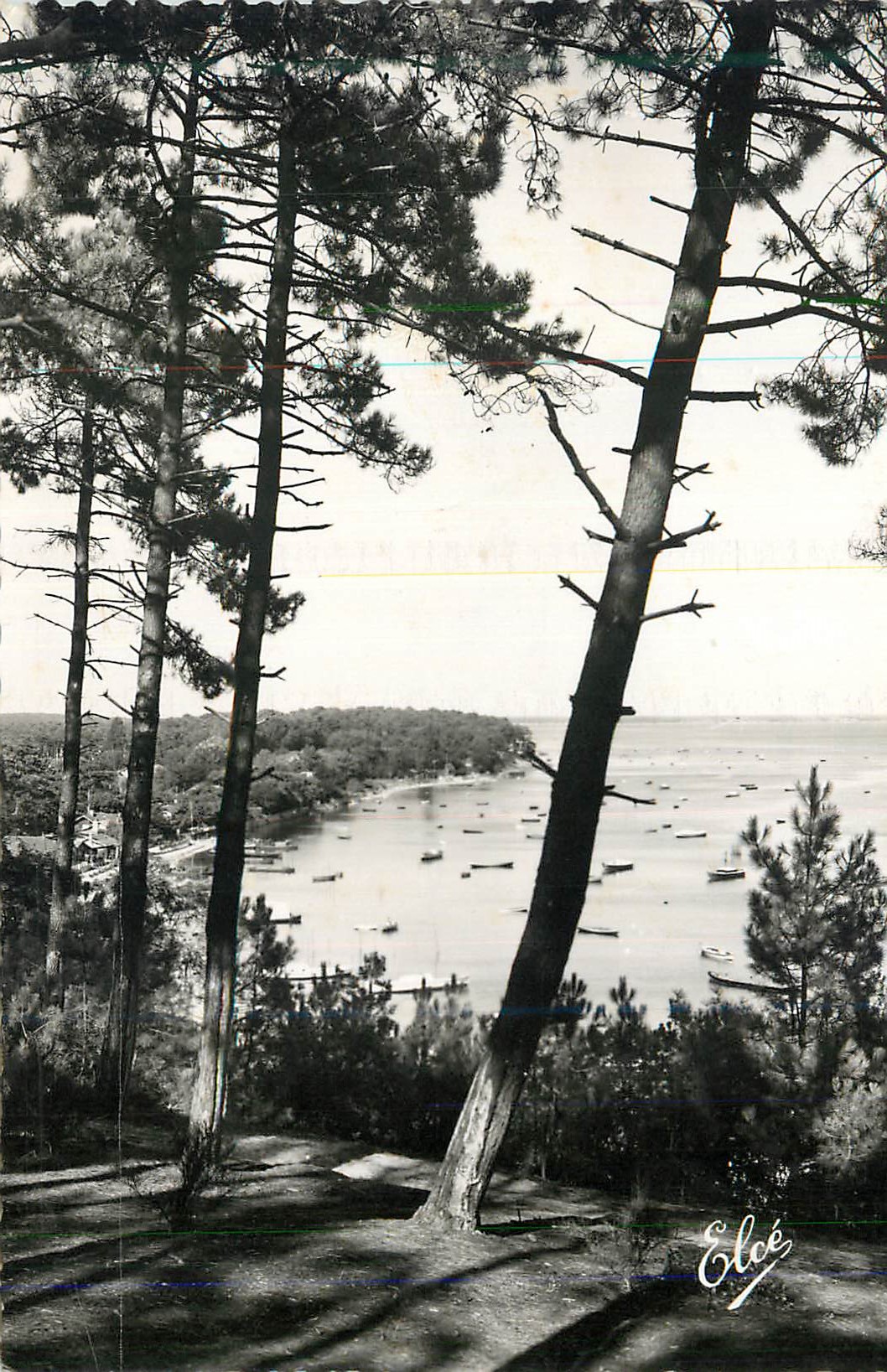 Bassin d'Arcachon — Echappée sur le Bassin à travers les Pins — L. CHATAGNEAU, Bordeaux