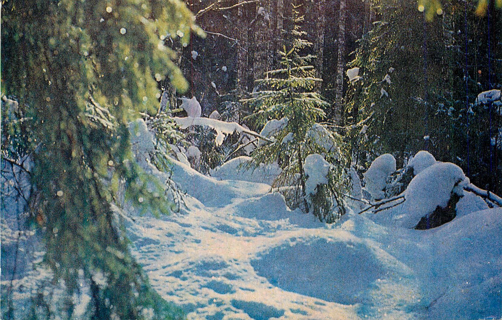 CPA Skujas Krasu Makslinieks