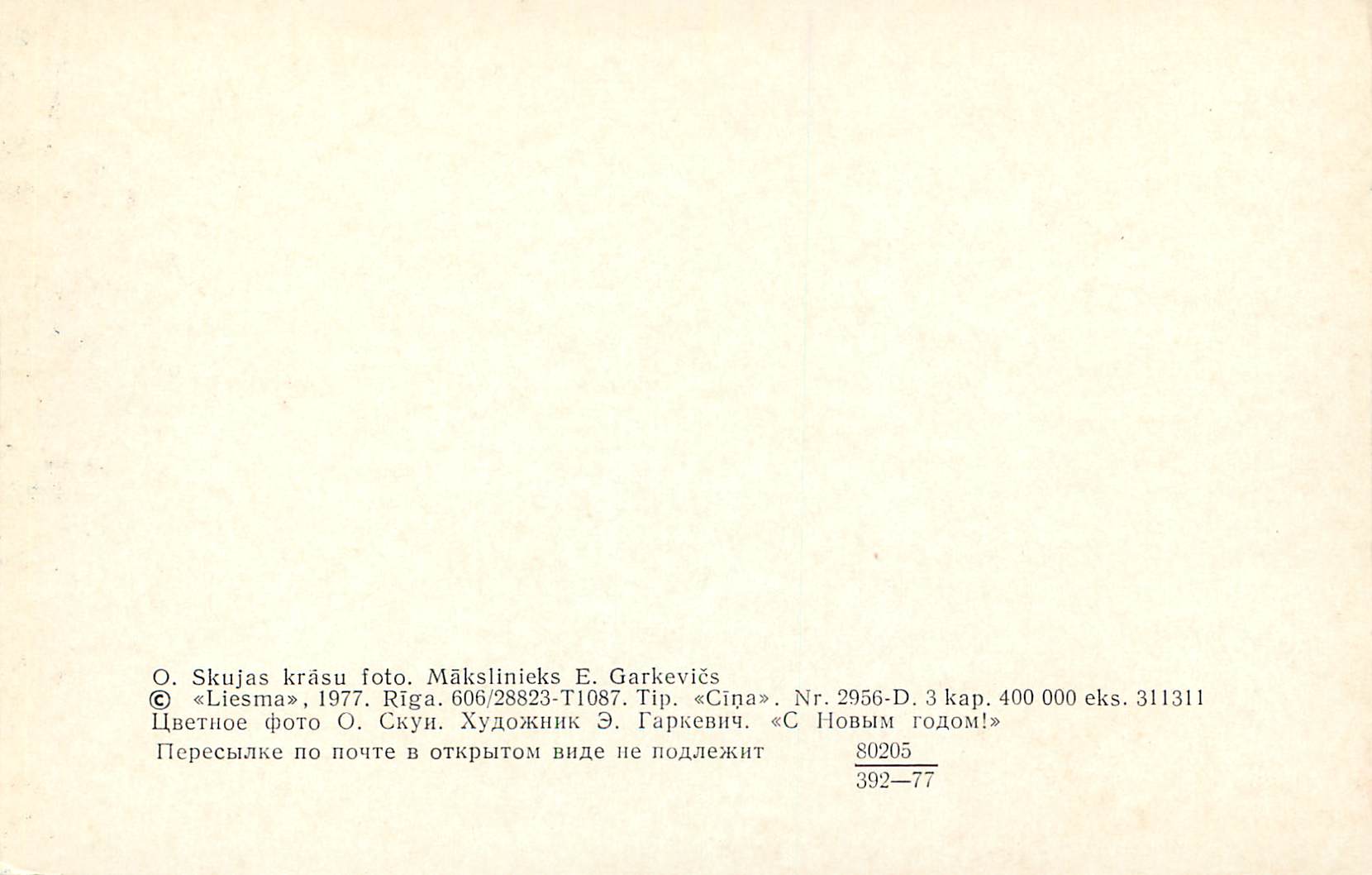 CPA Skujas Krasu Makslinieks — Verso