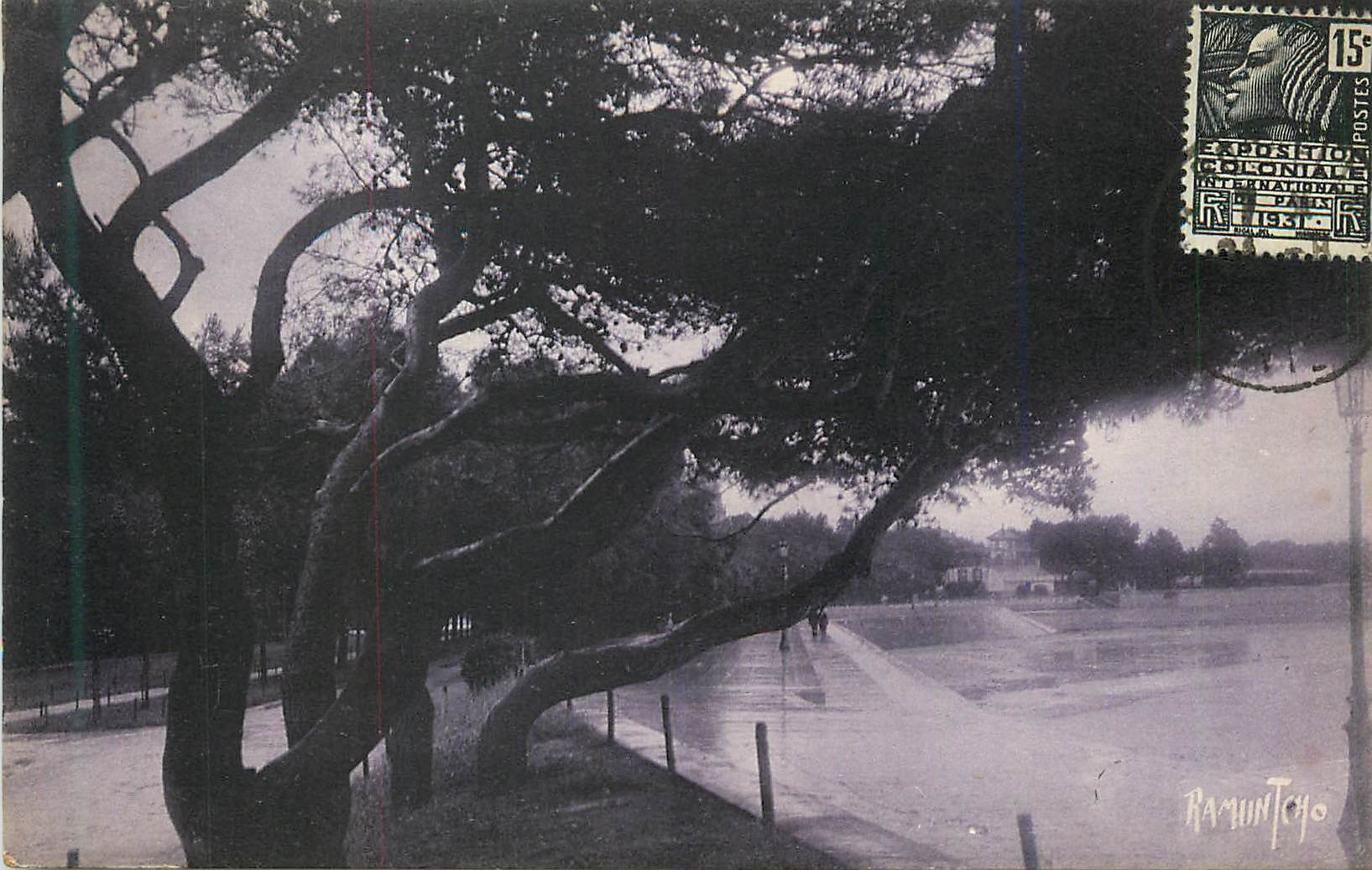 CPA La Rochelle Promenade de la Concurrence