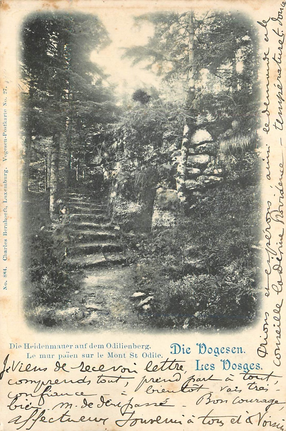 CPA Les Vosges Le Mar Paien sur le Mont st Odile