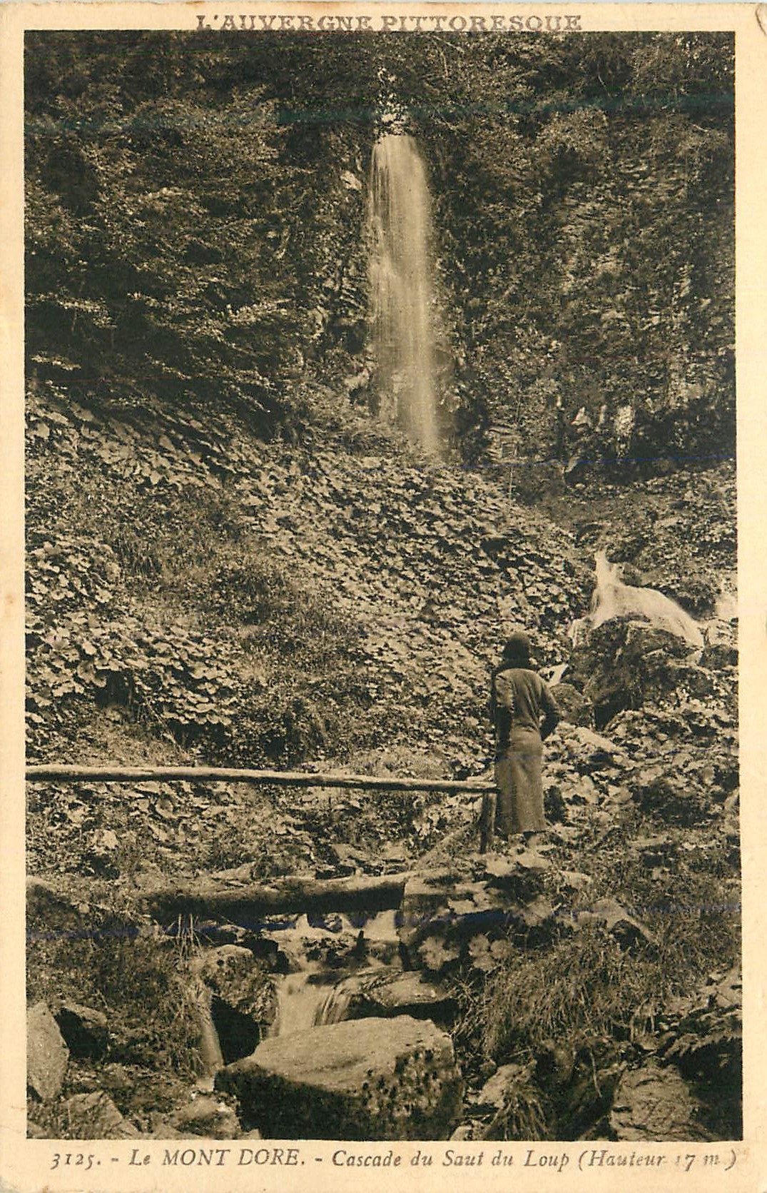 CPA Le Mont Dore Cascade du Saut du Loup (Hauteur 17 m)