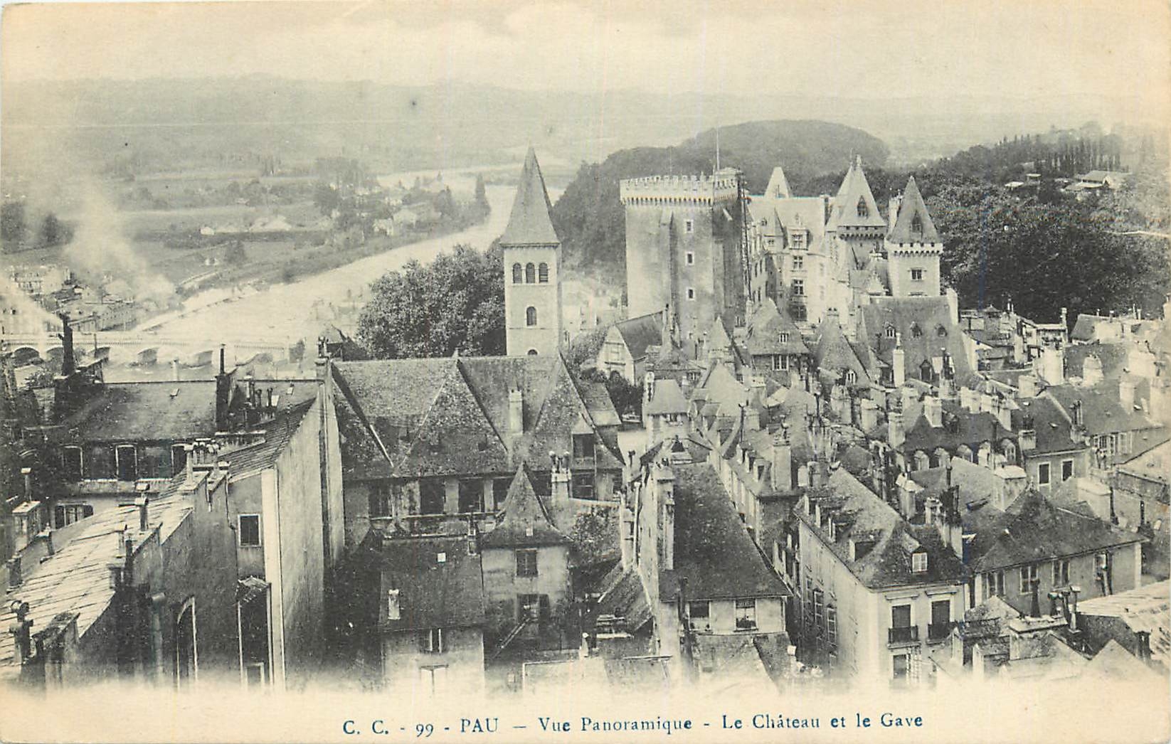 CPA Pau Vue Panoramique le Chateau et Le Gave