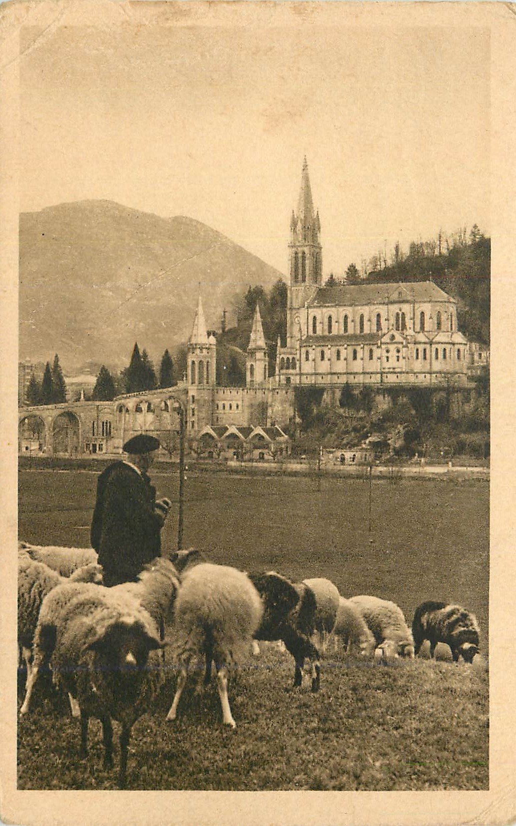 CPA Lourdes La Basilique Berger Moutons