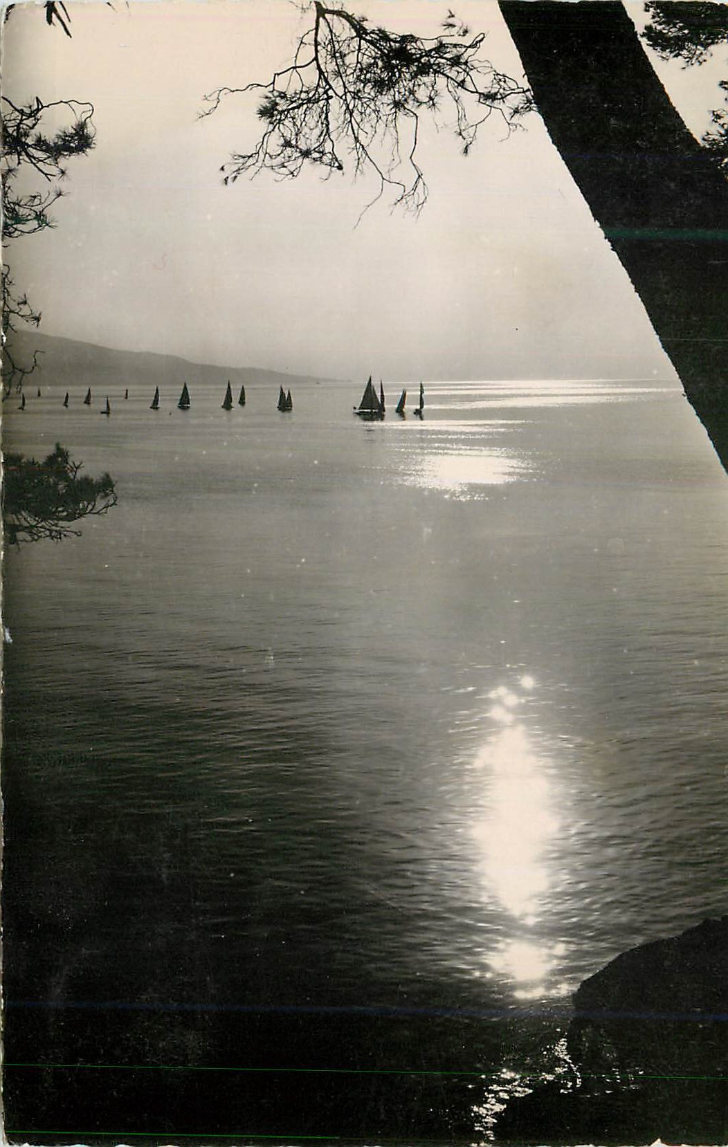CPM Le Grau du Roi (Gard) Coucher de Soleil