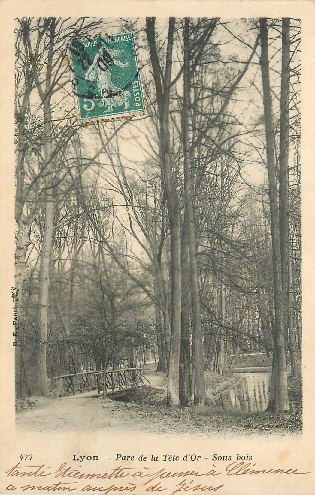 Lyon — Parc de la Tête d'Or — Sous bois