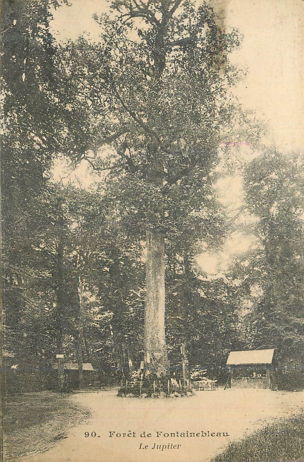 Forêt de Fontainebleau — Le Jupiter — n°90