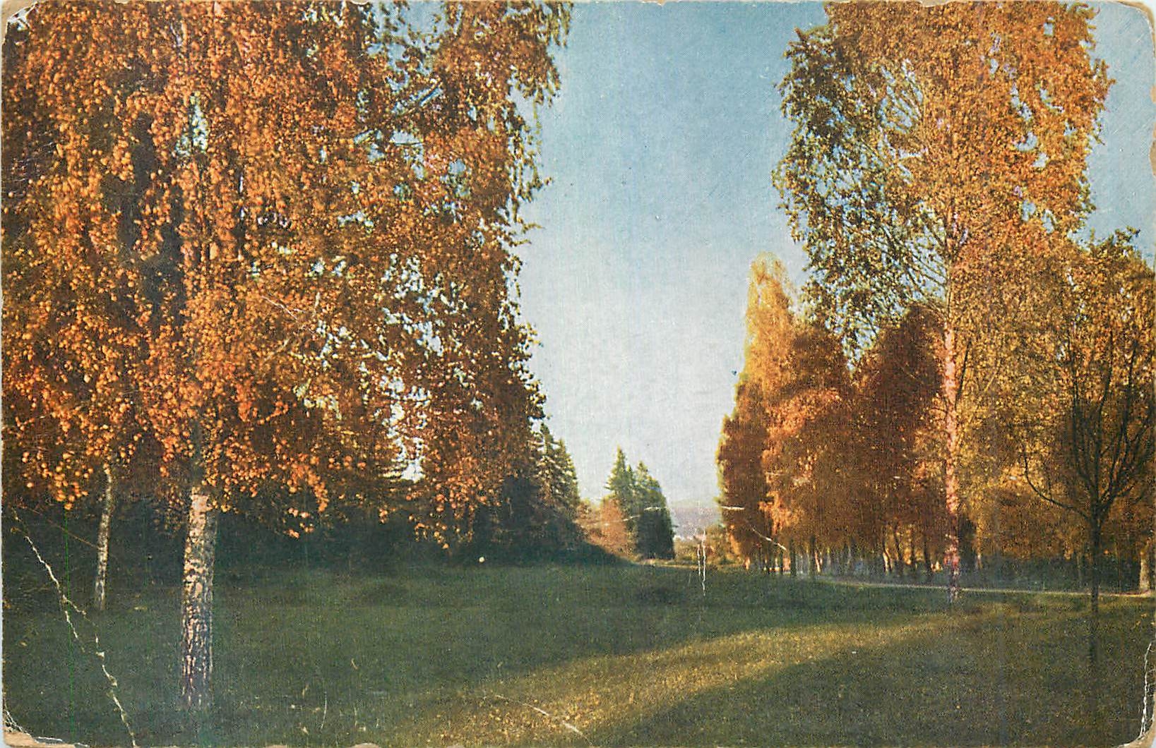 CPA Foret