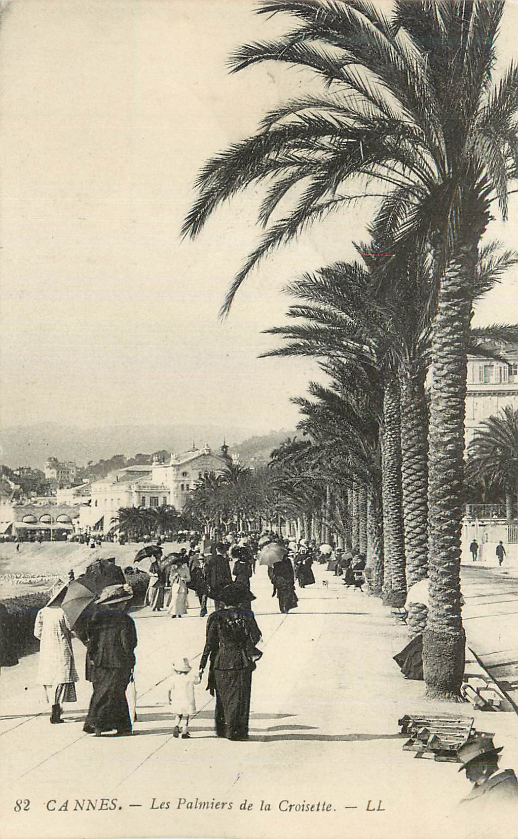 CPA Cannes Les Palmiers de la Croisette