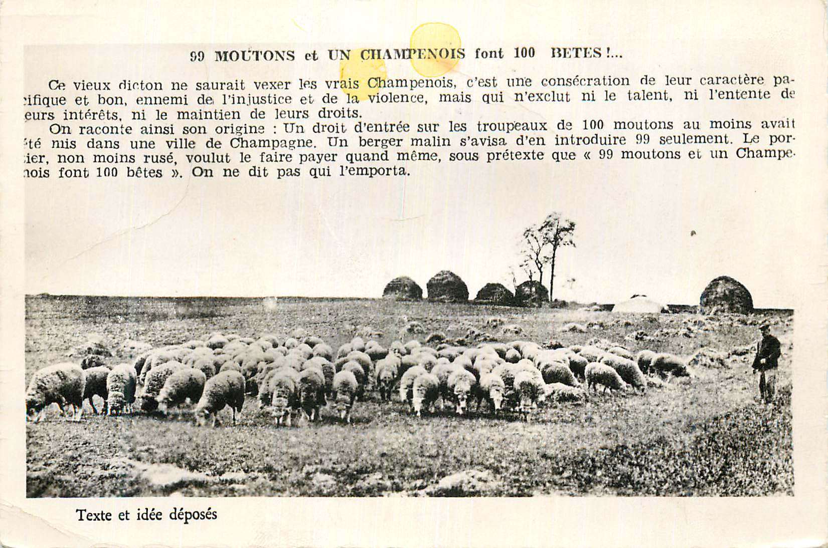 99 MOUTONS et UN CHAMPENOIS font 100 BETES ! — Ch. GRANDIDIDIER & Cie, TROYES (Aube)