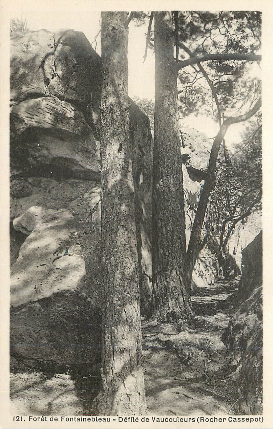 Forêt de Fontainebleau — Défilé de Vaucouleurs (Rocher Cassepot) — n°121