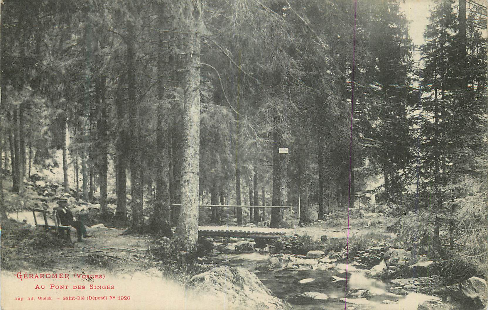 CPA Gerardmer Vosges au Pont des Singes