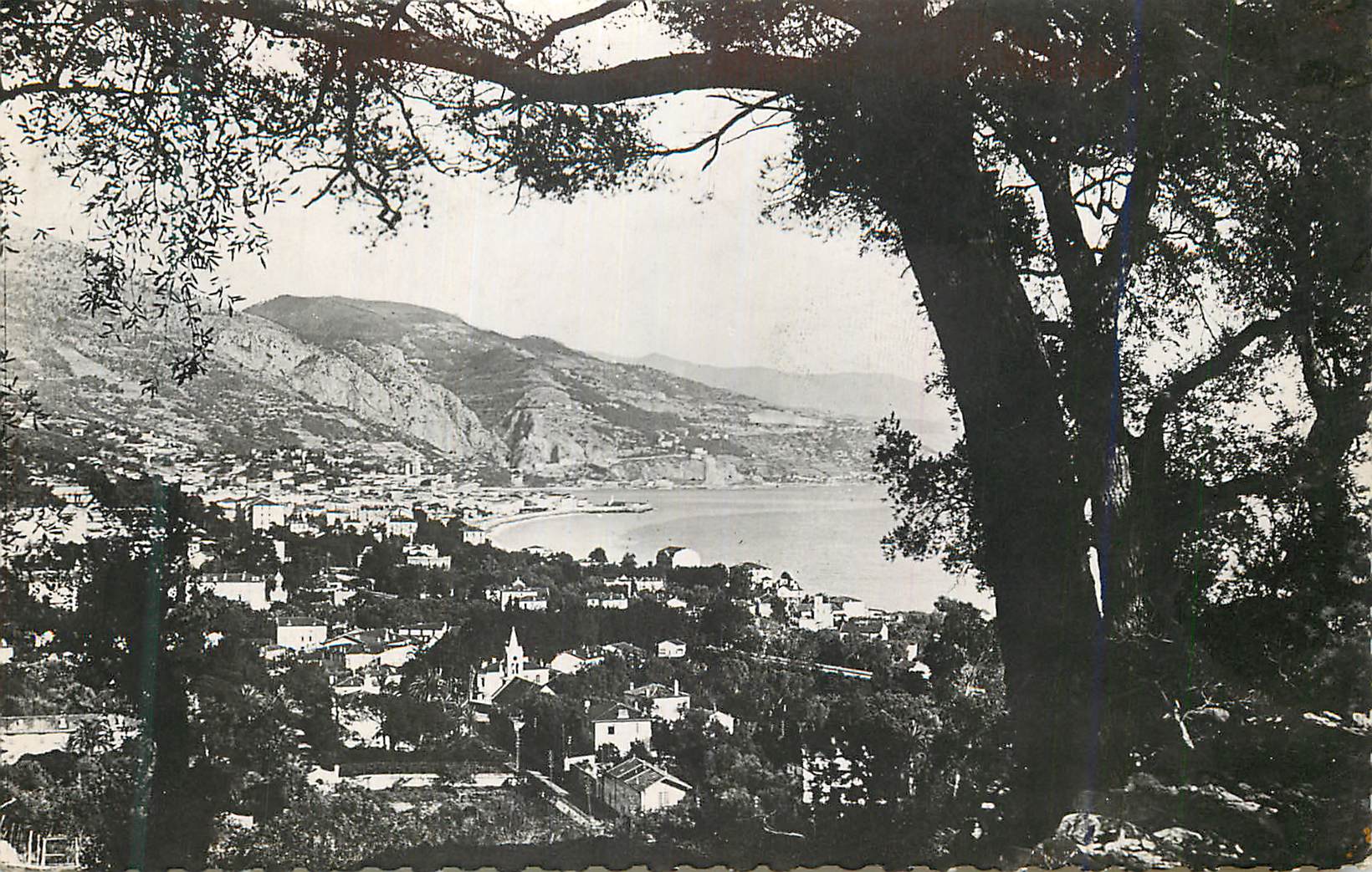 CPM Menton Vue Generale prise du Cap Martin