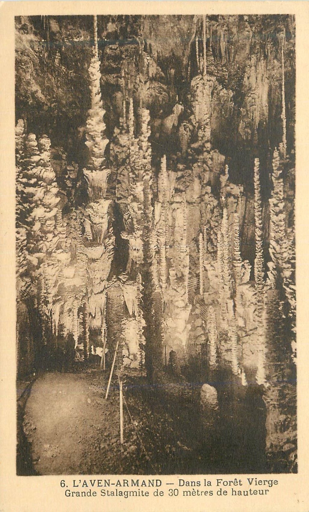 CPA l'Aven Armand dans la Foret Vierge Grande Stalagmite de 30 Metres de Hauteur