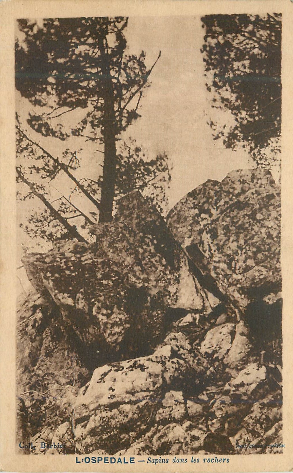 CPA l'Ospedale Sapins dans les Rochers
