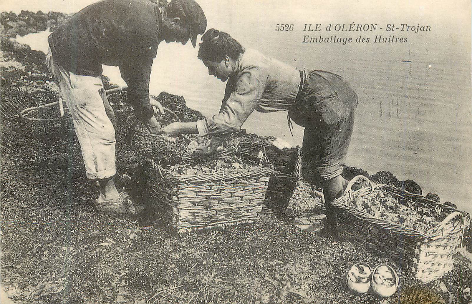 REPRO Ile d'Oleron Saint Trojan Emballage des Huitres Ostreiculture