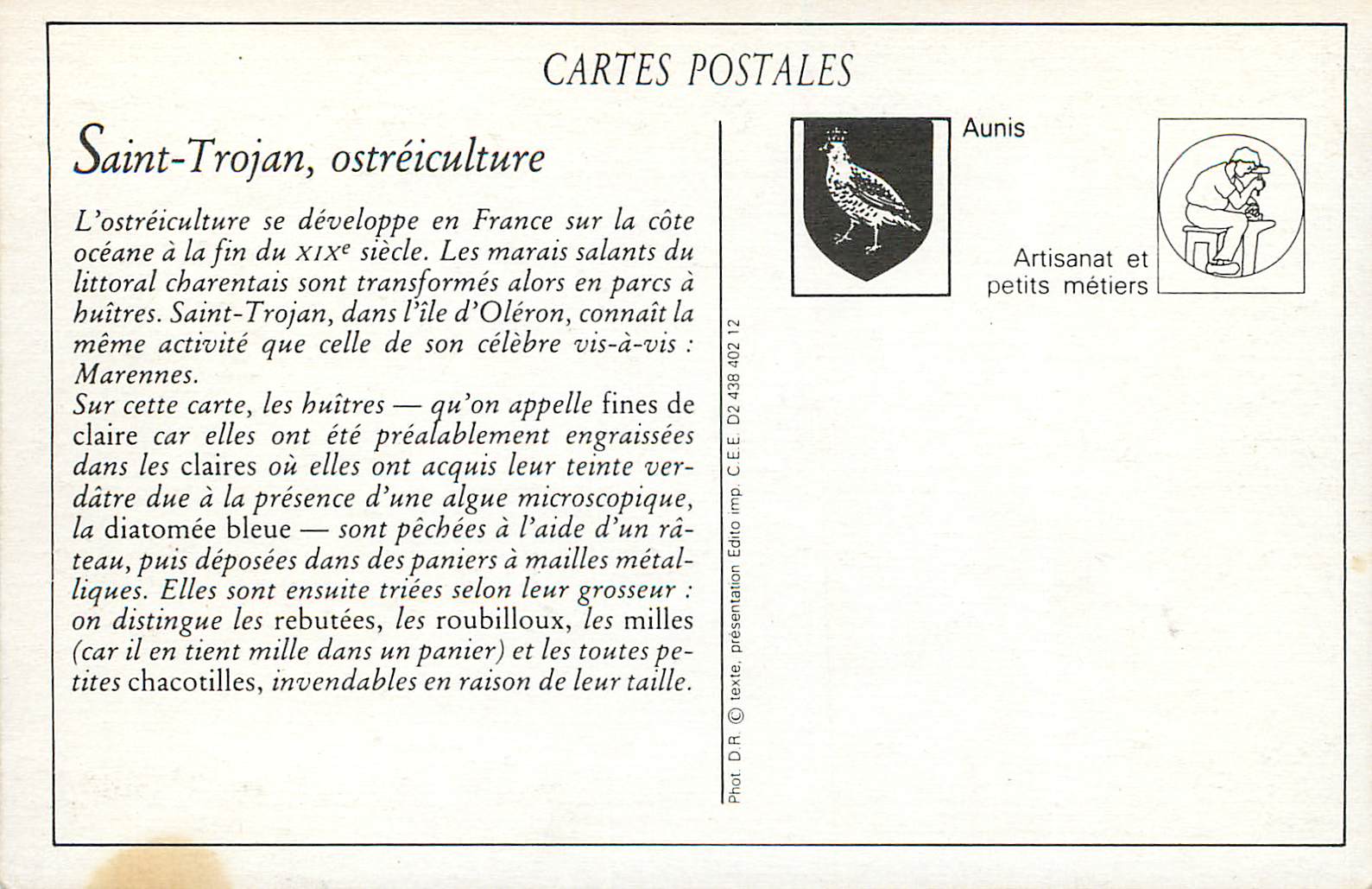 REPRO Ile d'Oleron Saint Trojan Emballage des Huitres Ostreiculture — Back
