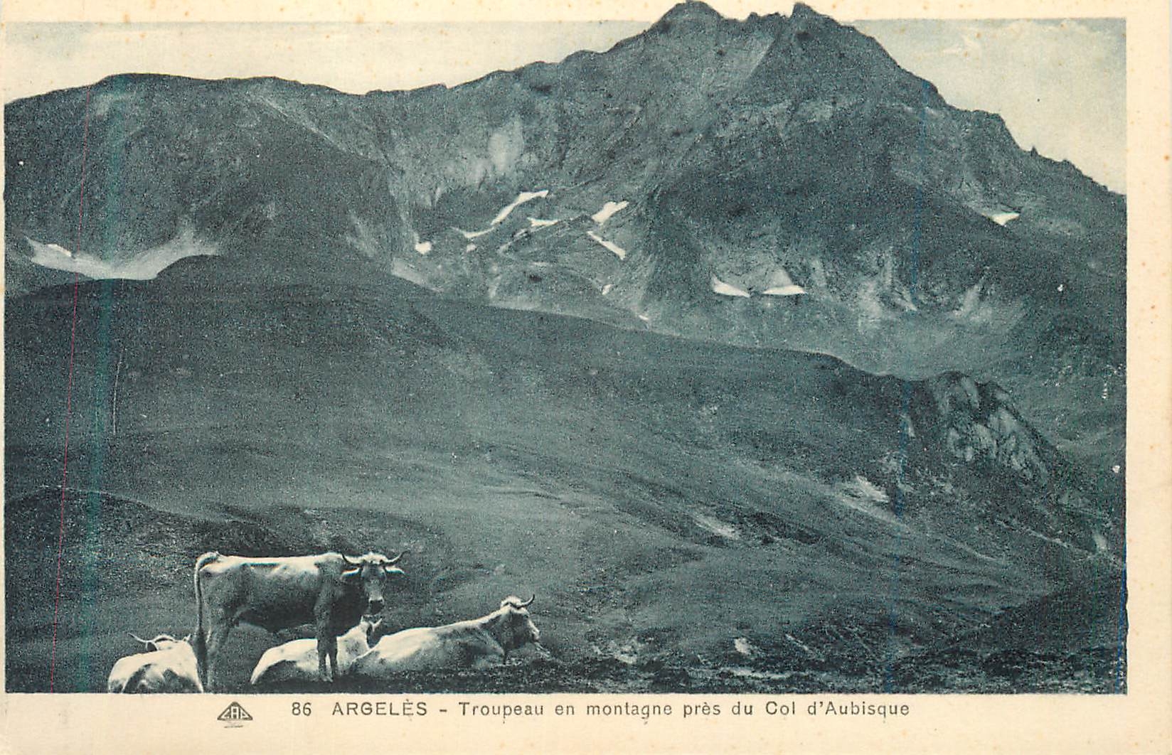 Argelès - Troupeau en montagne près du Col d'Aubisque