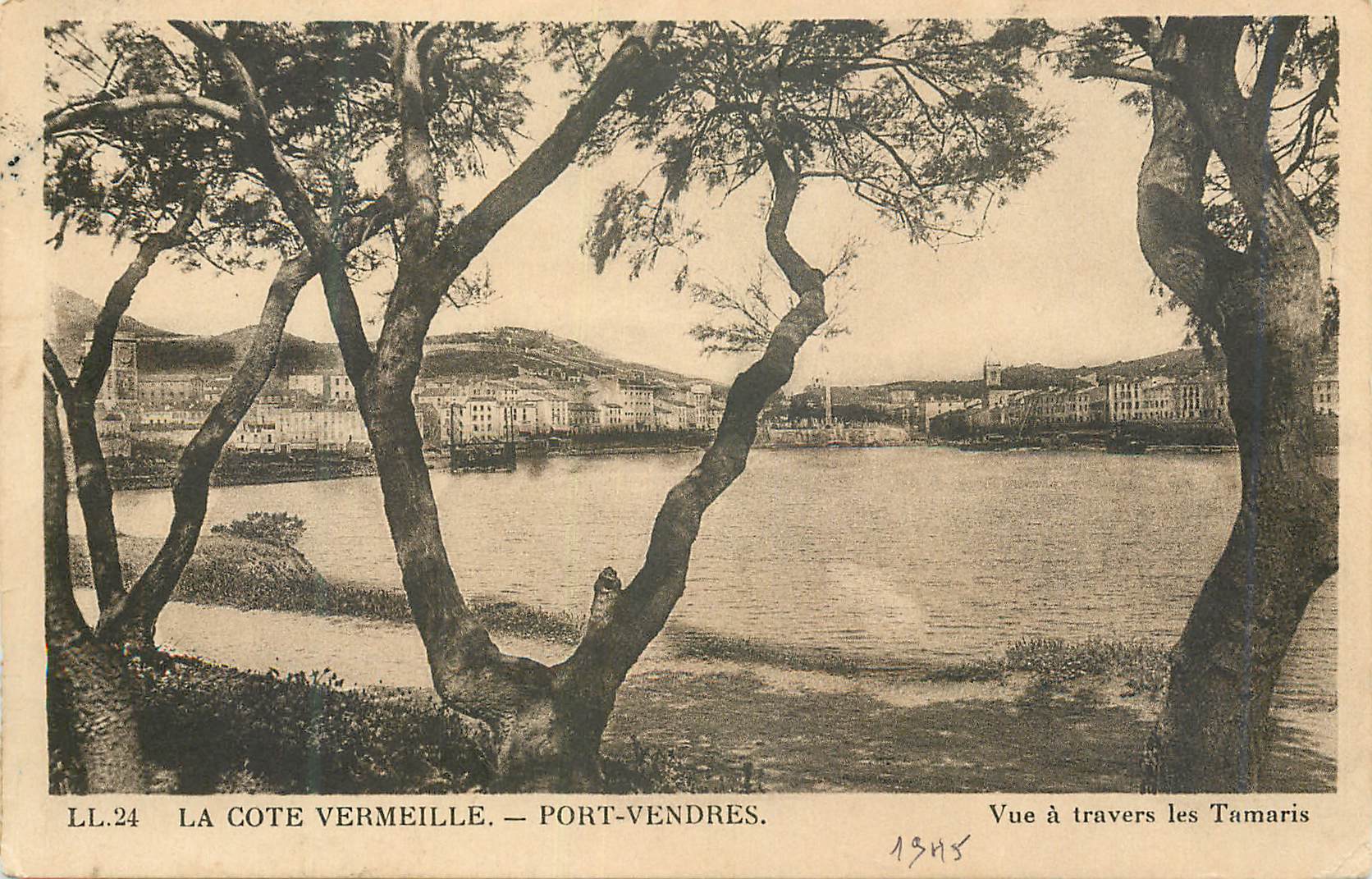 CPA La Cote Vermeille Port Vendres Vue a Travers les Tamaris