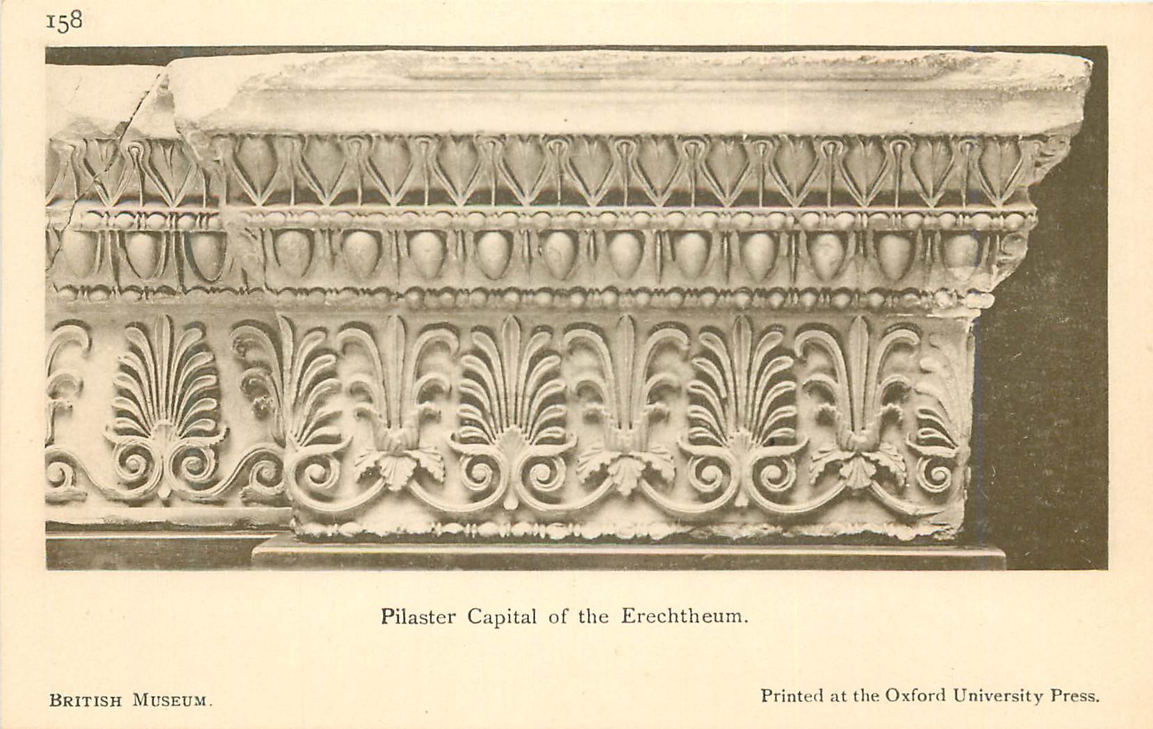 CPA Pilaster Capital of the Erechtheum British Museum