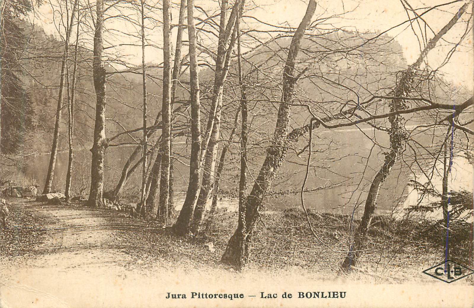 CPA Jura Pittoresque Lac de Bonlieu