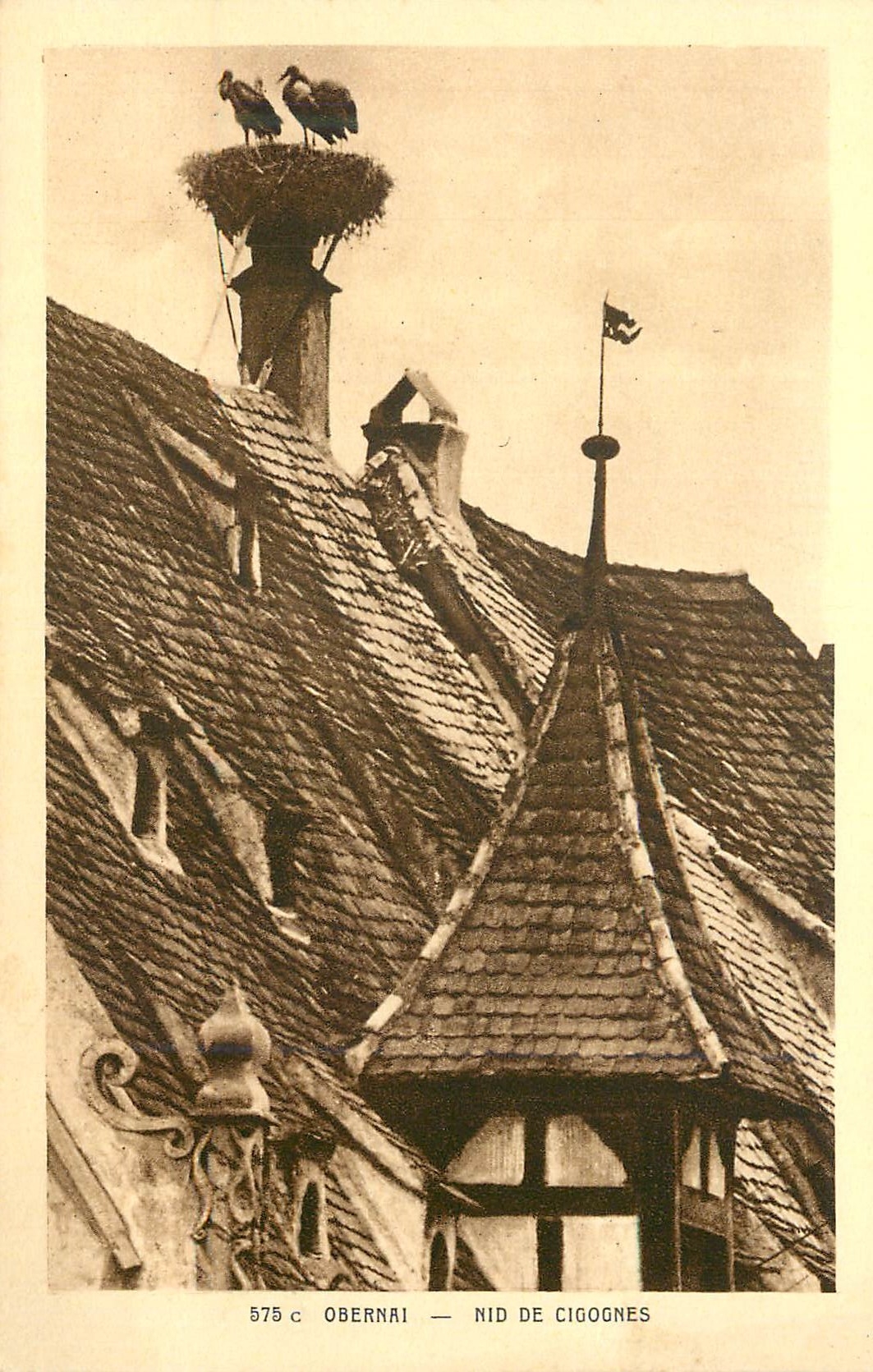 CPA Obernai Nid de Cigognes