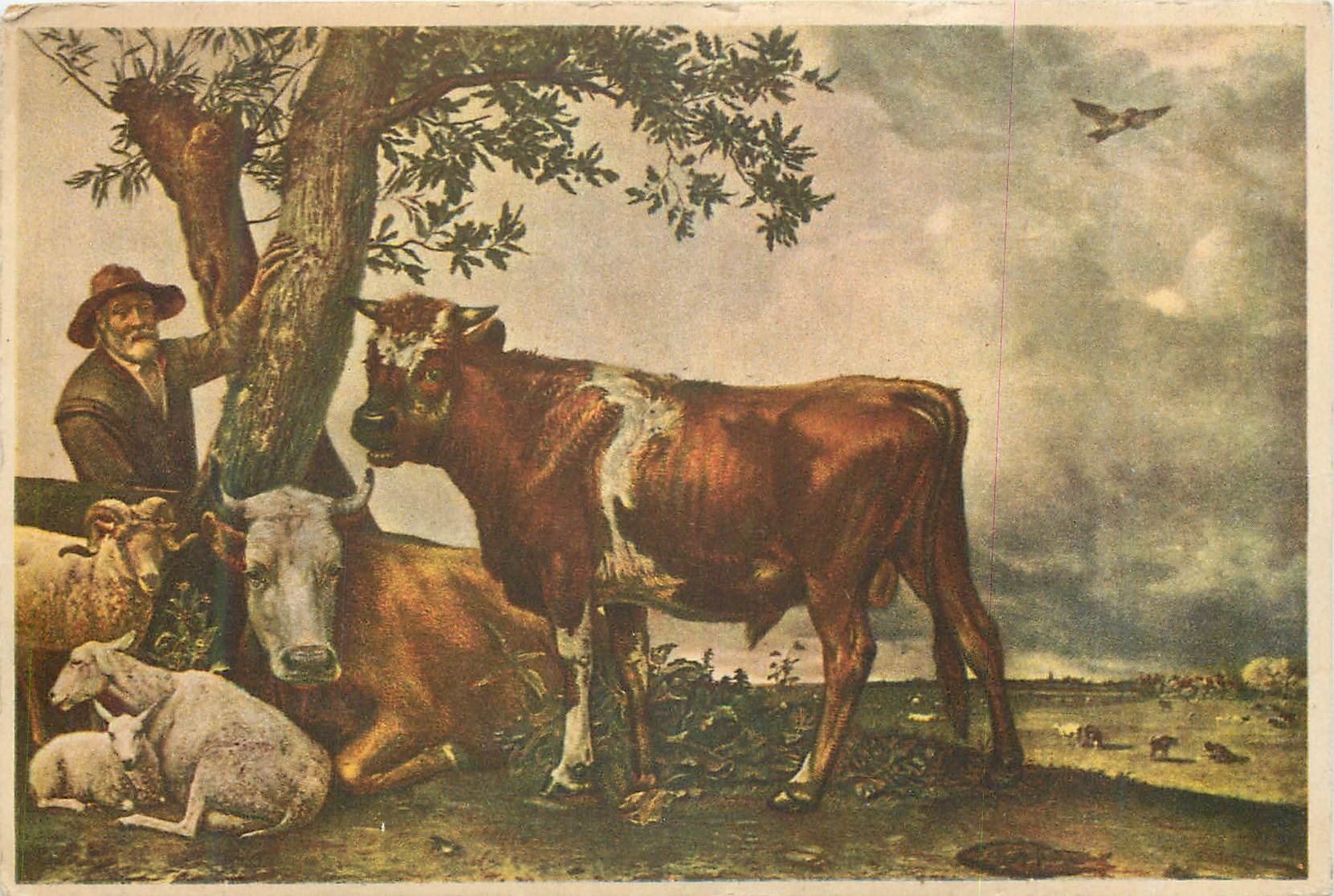 CPA Paulus Potter de Jonge Stier le Jeune Taureau