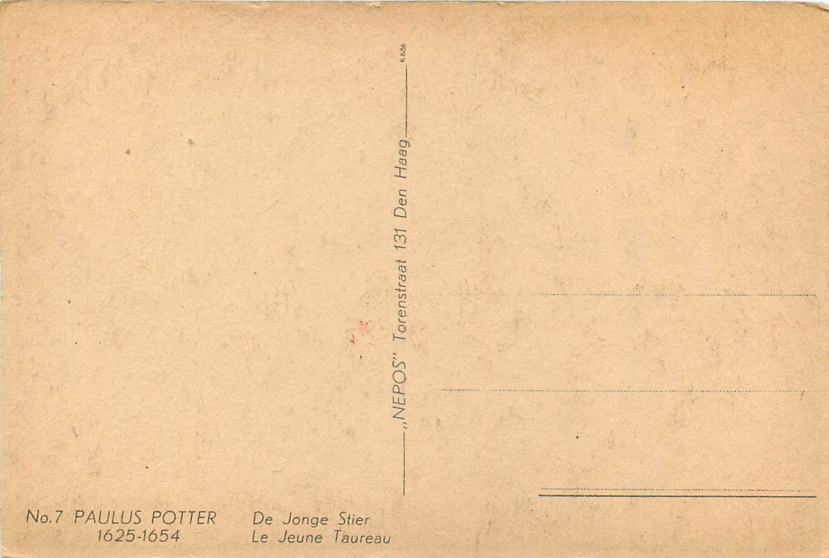 CPA Paulus Potter de Jonge Stier le Jeune Taureau — Verso