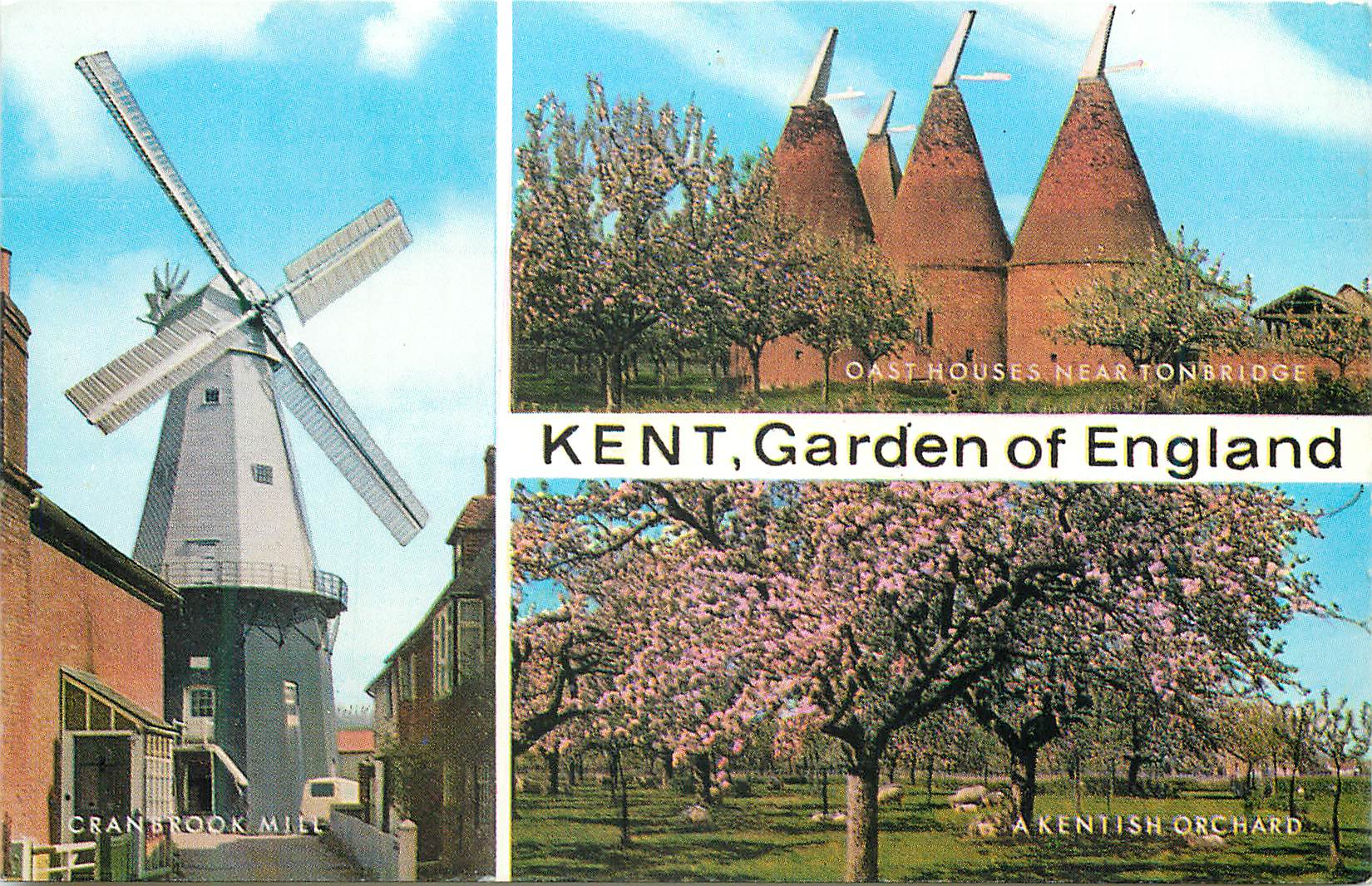 CPM Kent Garden of England Cranbrook mill Oast houses near Tonbridge A Kentish Orchard