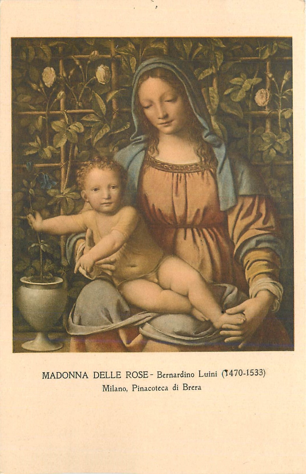CPA Madonna delle rose bernardino luini (1470 1533) milano pinacoteca di brera