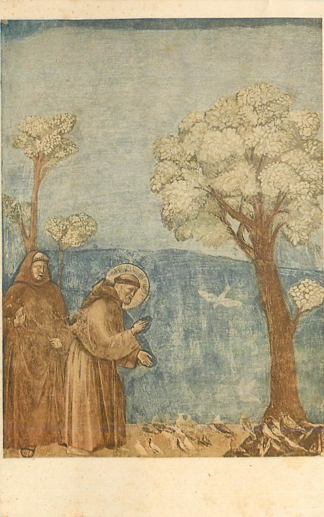 CPA N 97 s francesco parla agli uccelli giotto (1276 1336)