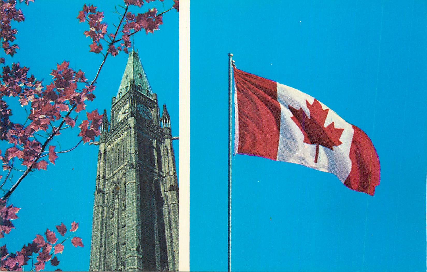 CPM Le drapeau canadien le nouveau drapeau portant la feuille d erable rouge est devenu officiel le 15 fevrier 1965