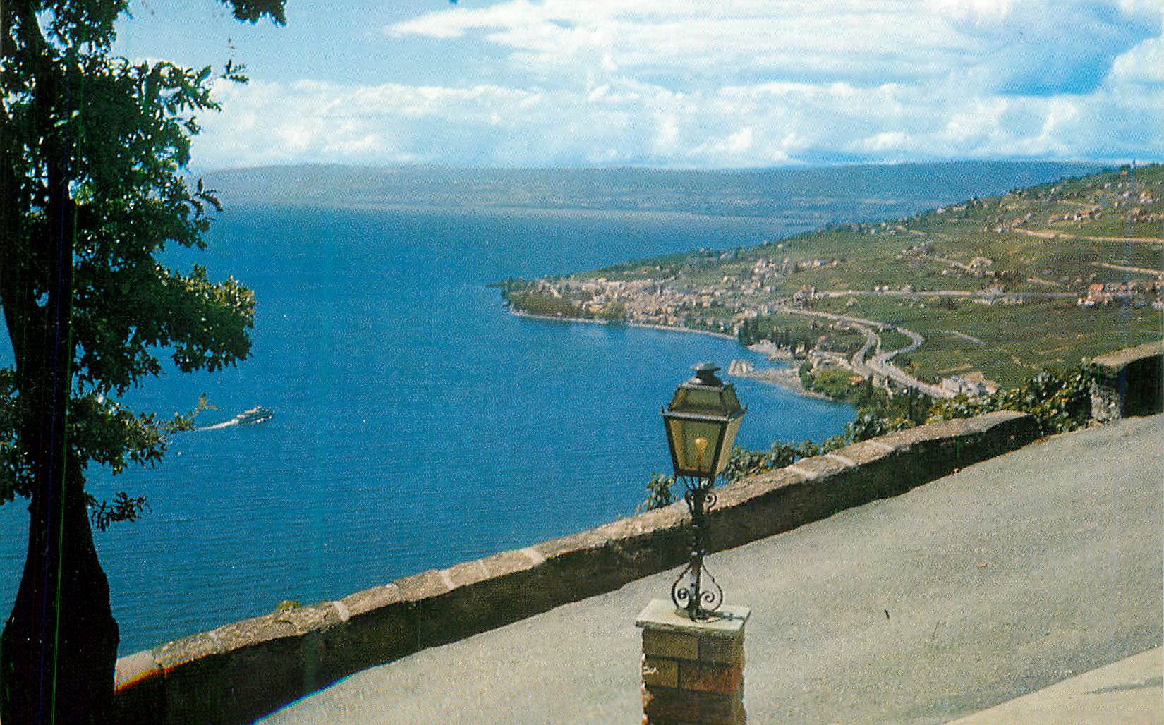 CPM 5329 vignoble de lavaux cuily et le lac leman