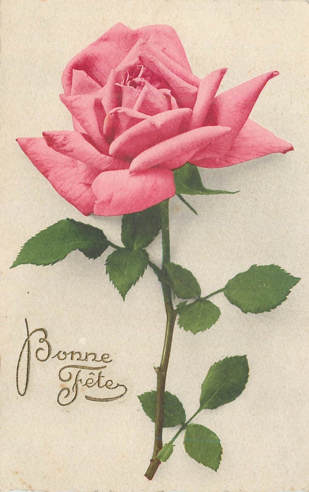 CPA Bonne fetes