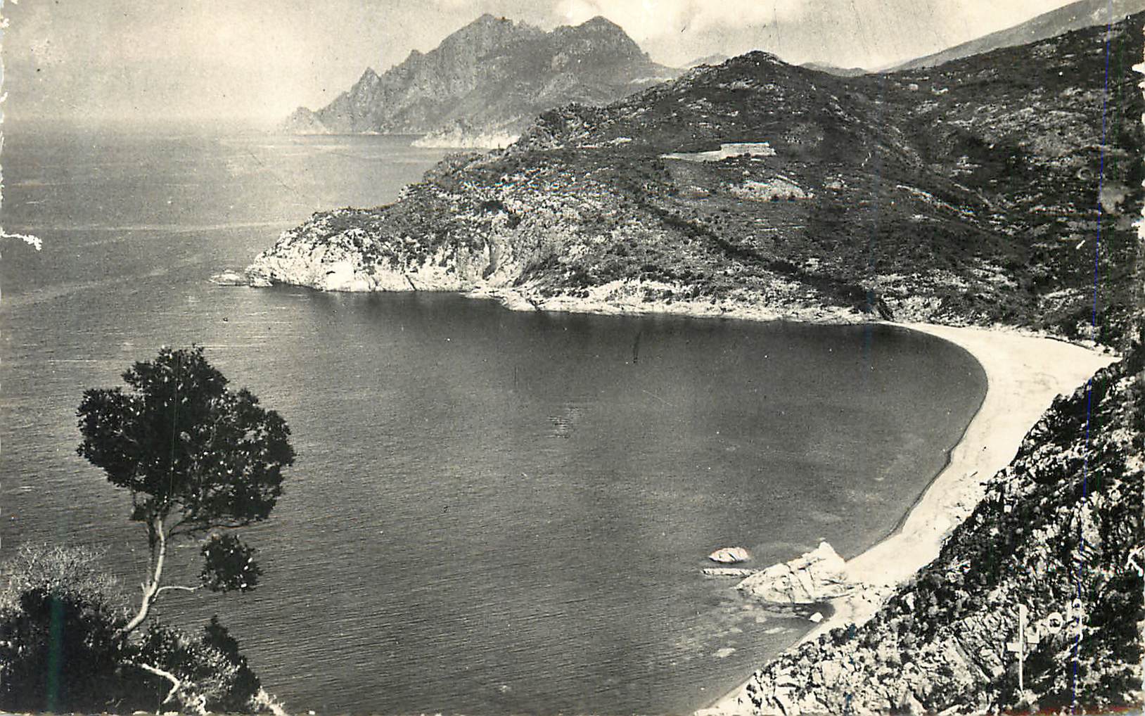 CPM Golfe de porto (corse) plage de bussagna
