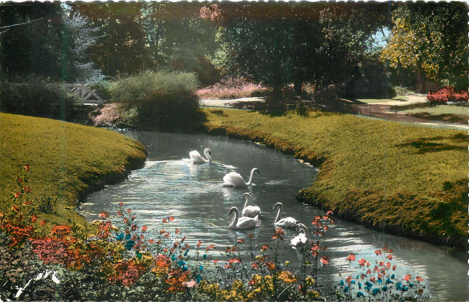 CPM 19 pau (b p) au parc beaumont les cygnes