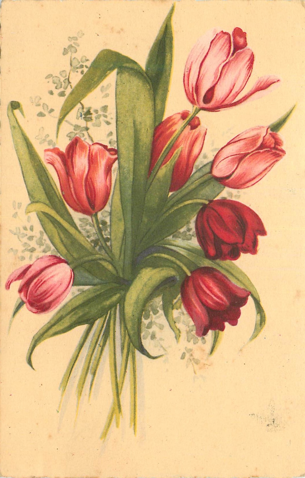 CPA Fleurs