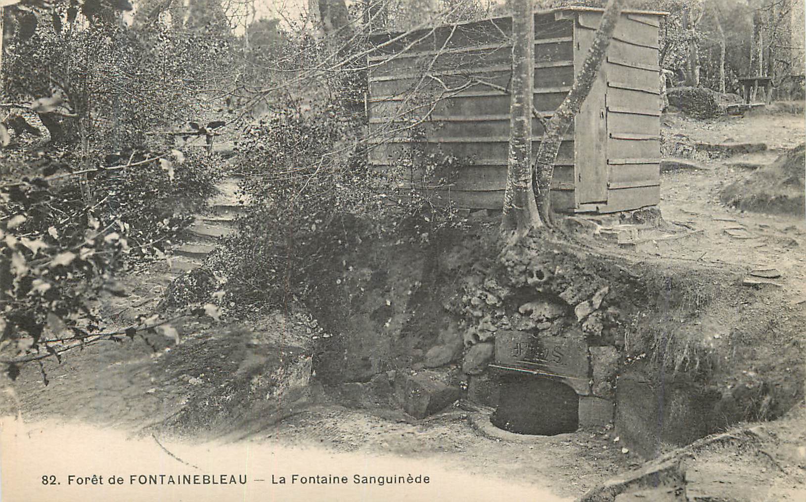 Forêt de FONTAINEBLEAU — La Fontaine Sanguinée — Éditeur non identifié, n° 82