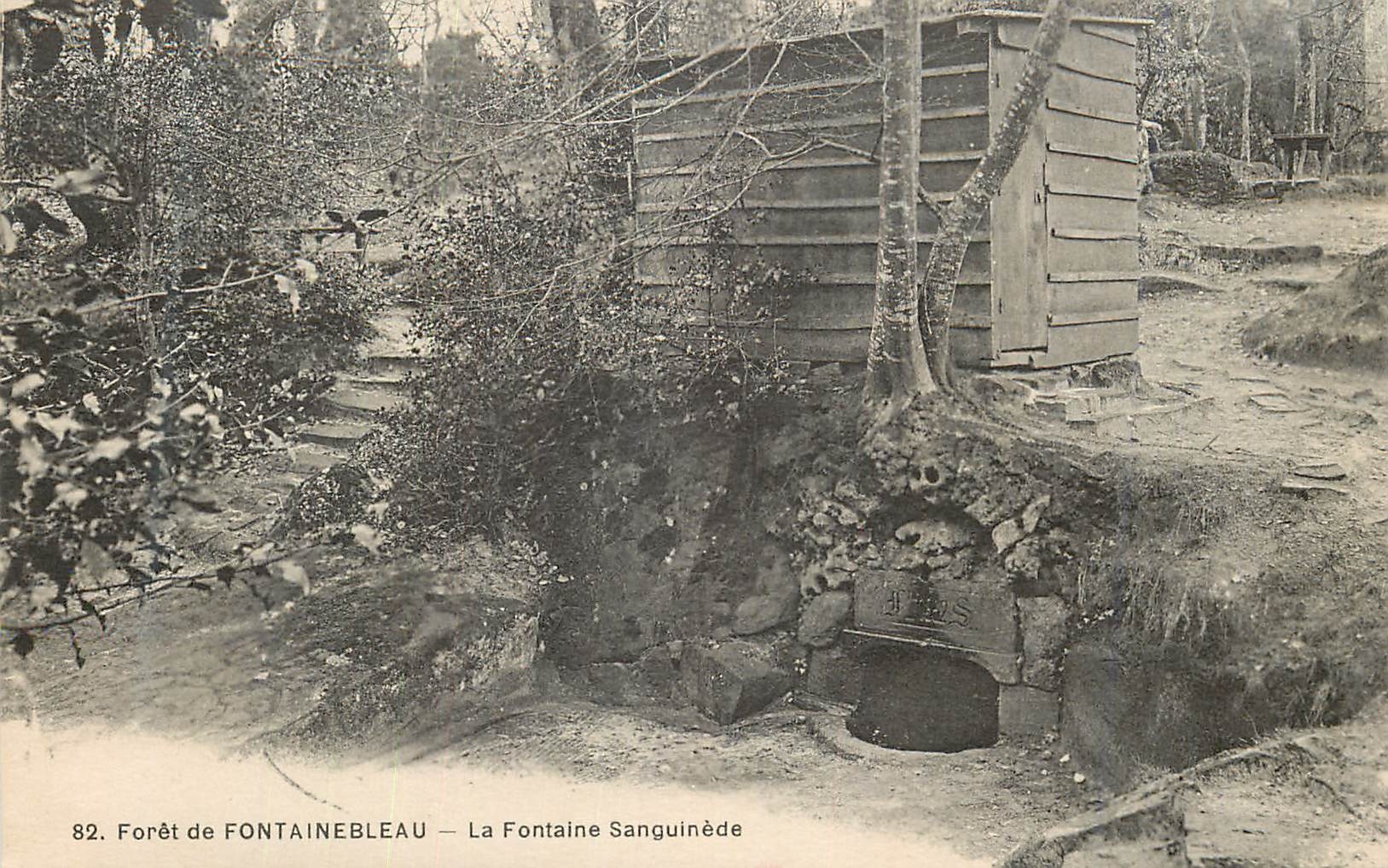 Wald von FONTAINEBLEAU — La Fontaine Sanguinède — Nr. 82