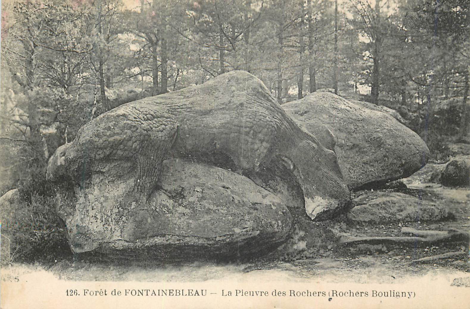 Wald von FONTAINEBLEAU — Der Elefantensporn der Rochers (Rochers Bouligny) — n°126