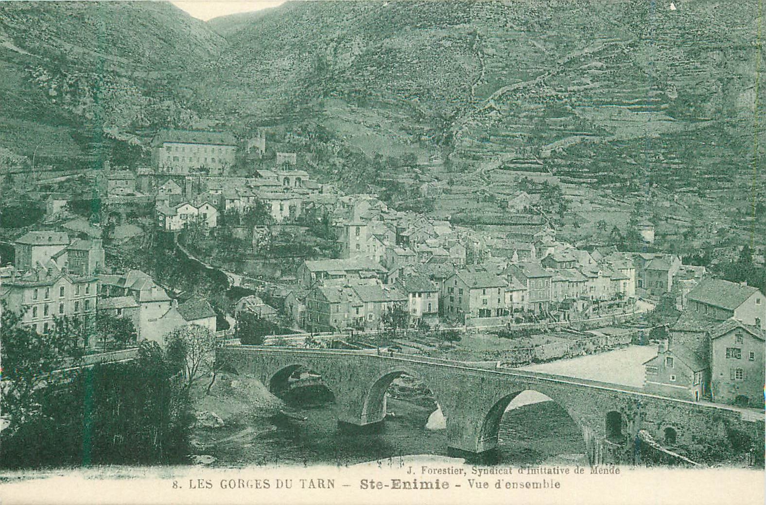 CPA 8 les gorges du tarn ste enimie vue d ensemble