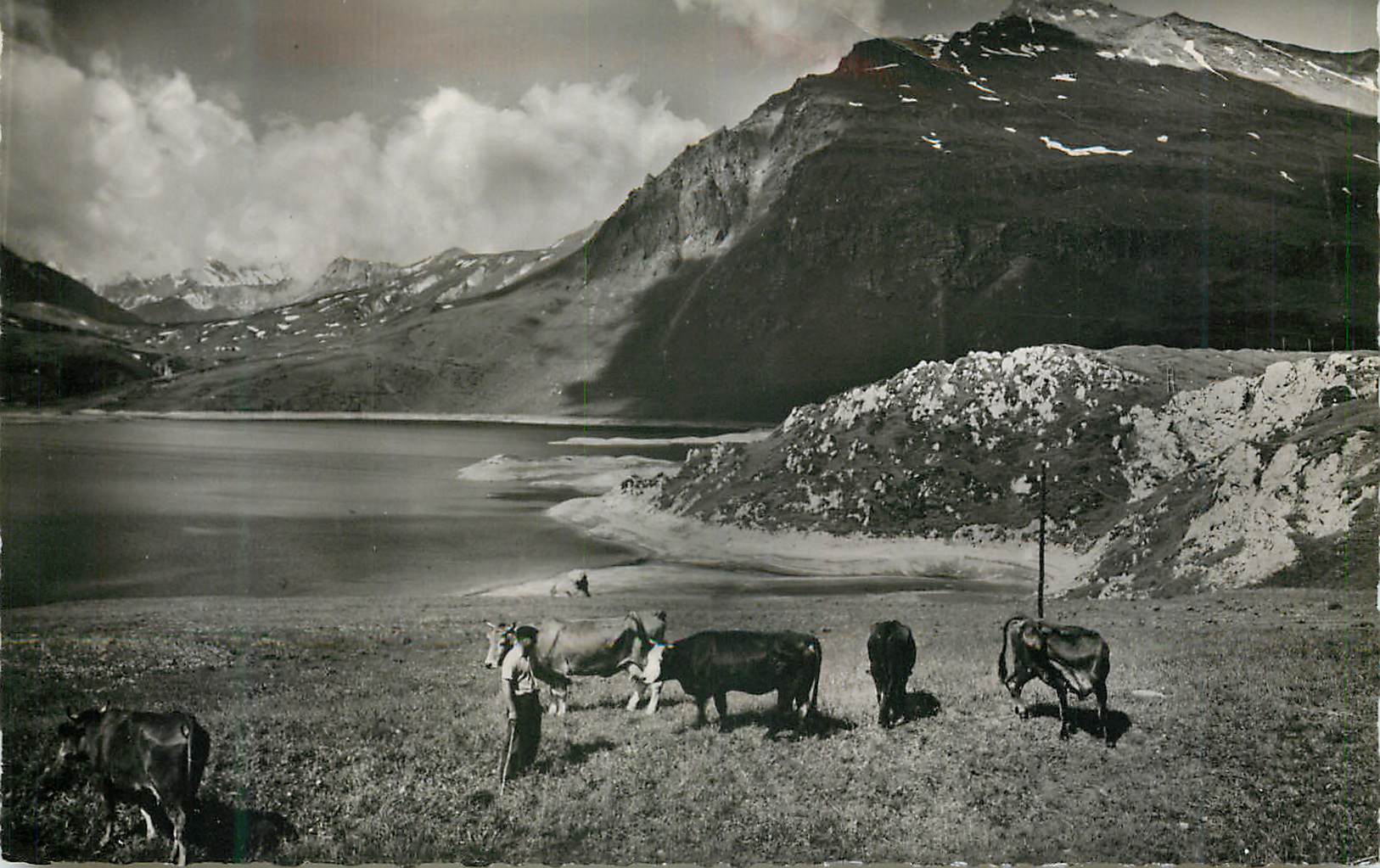 CPM Col du Mont Cenis Paturages Autour du Lac