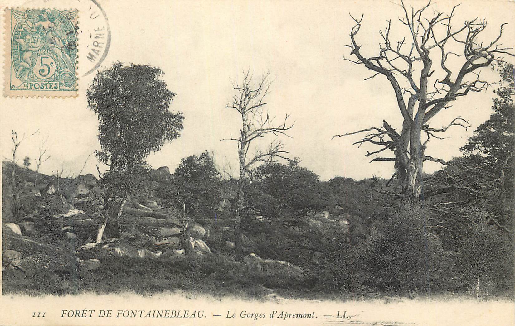 Forêt de Fontainebleau — Le Gorges d'Apremont — LL