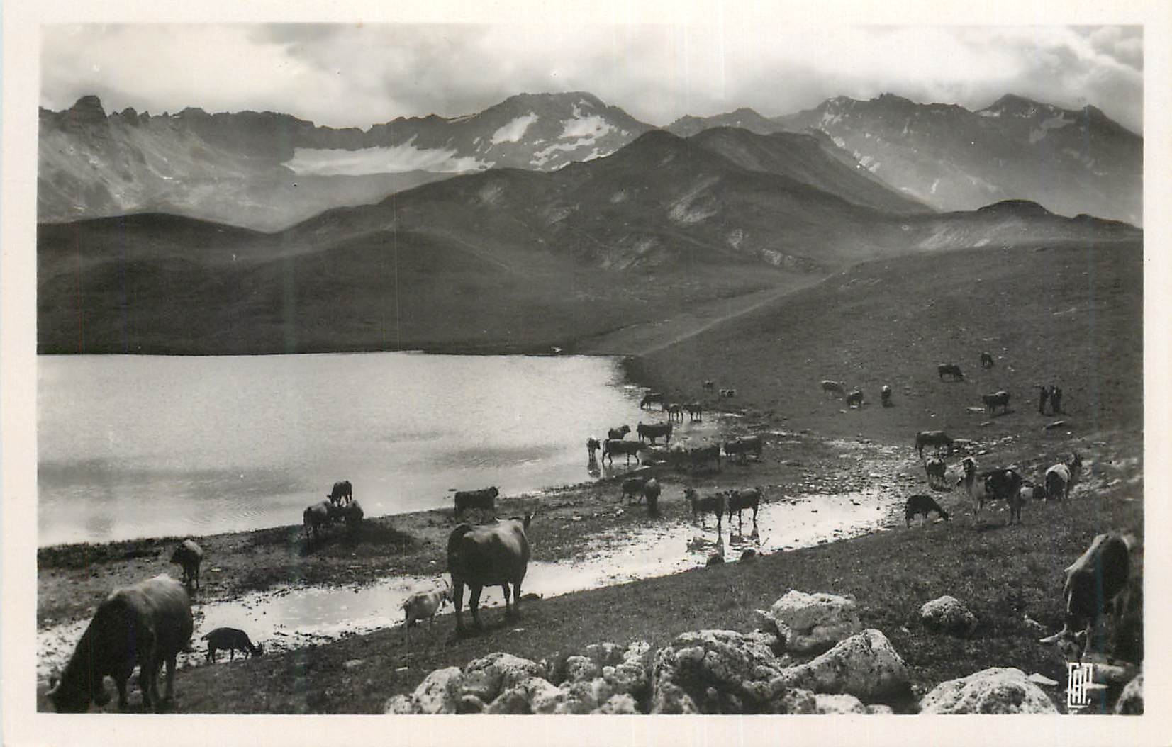 CPM Val D'Isere Lac de L'Ouillette et Cretes des Lessieres Vaches