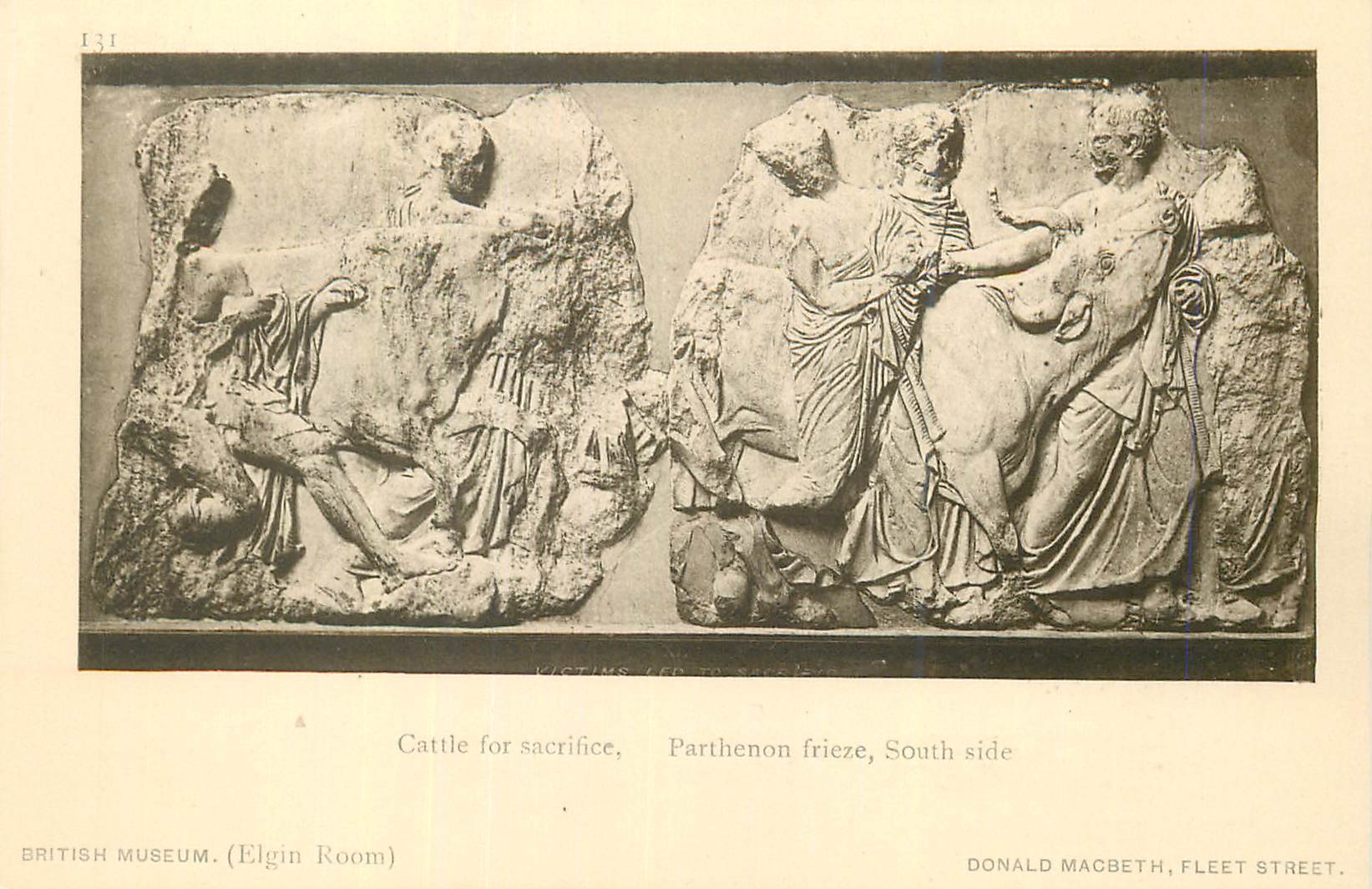 CPA British Museum Cattle for Sacrifice Pantheon Frieze South Side