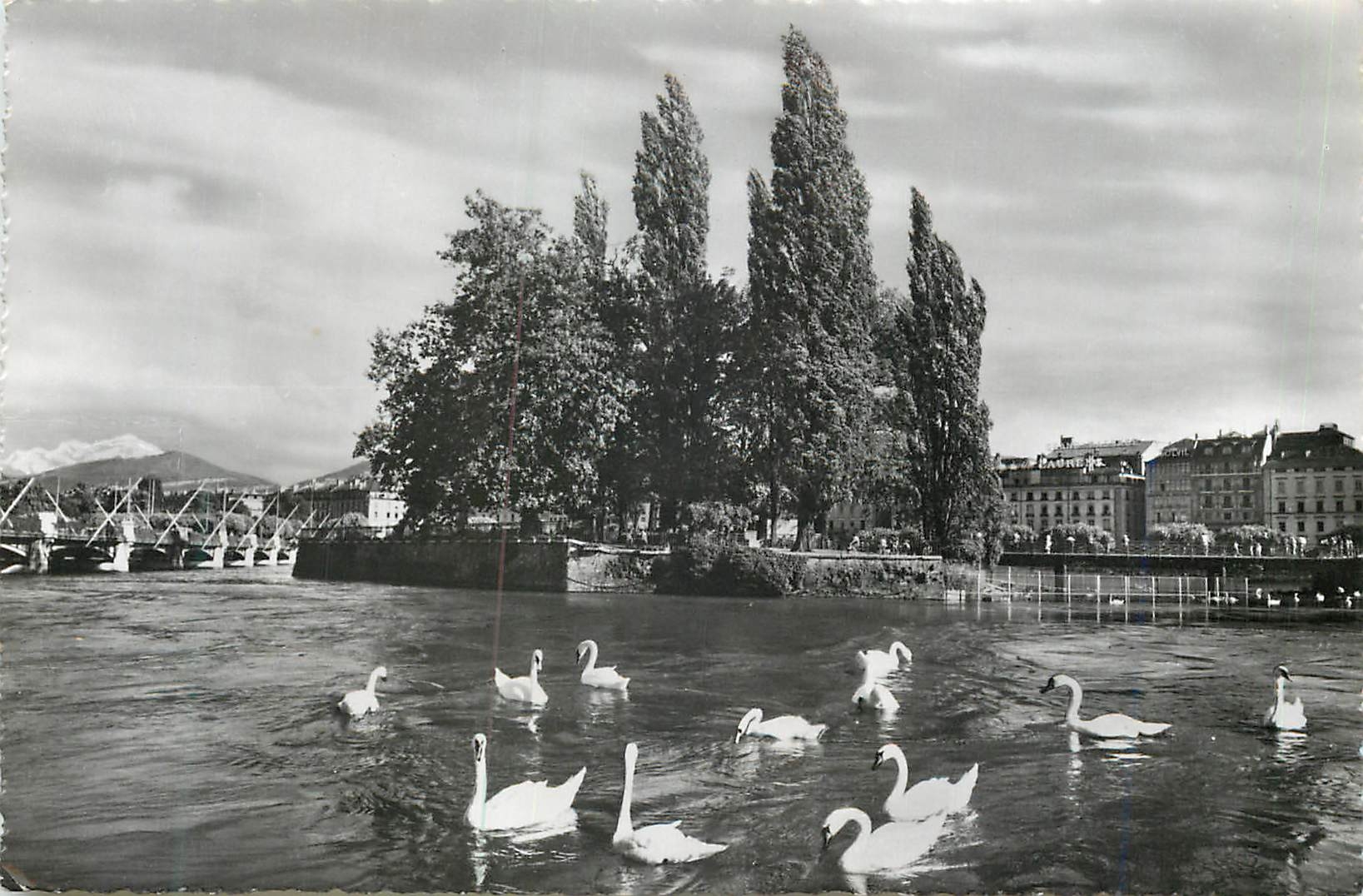 CPM Geneve Ile JJ Rousseau et les Cygnes